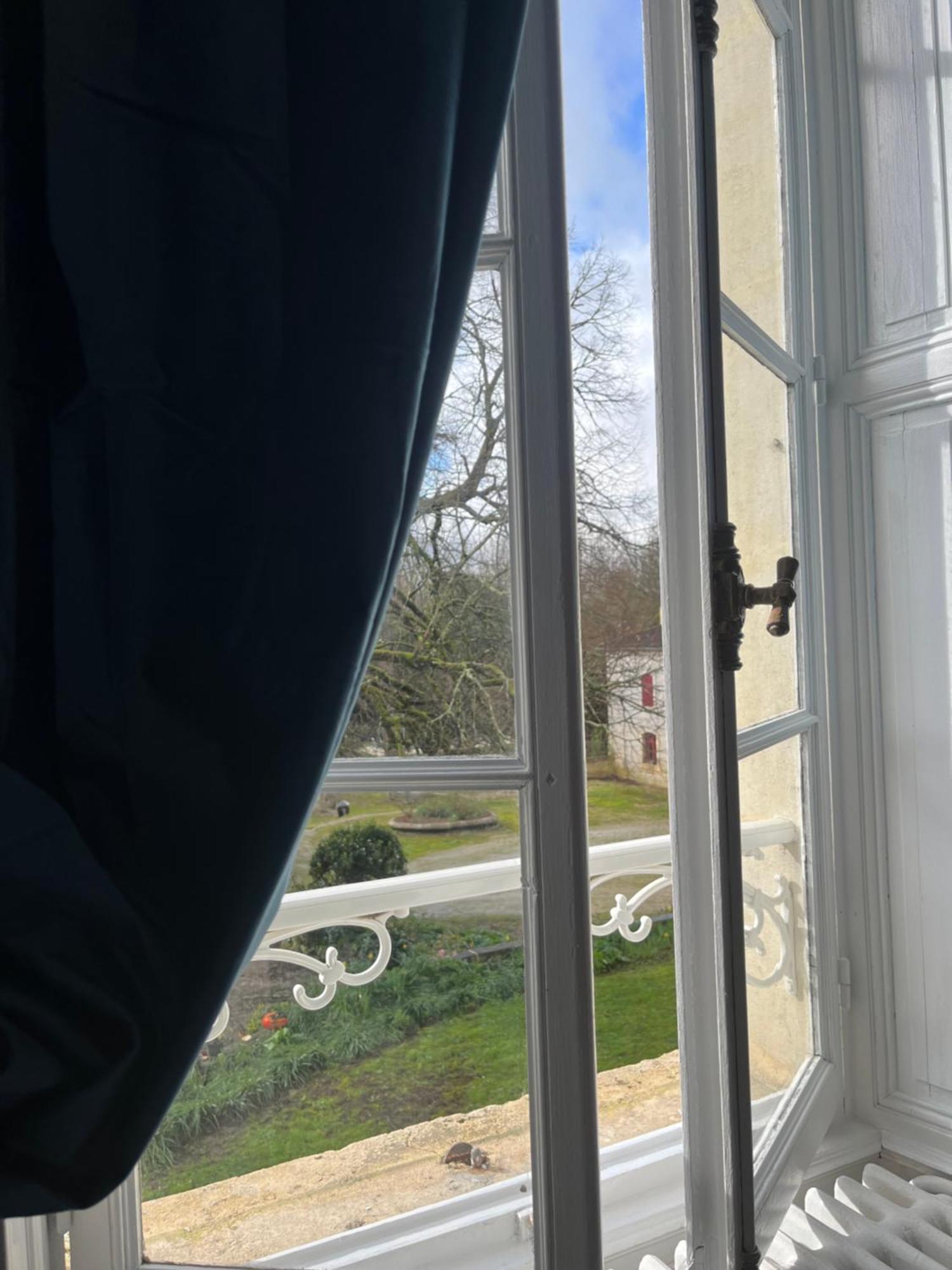 Chateau De Mesnac Bagian luar foto